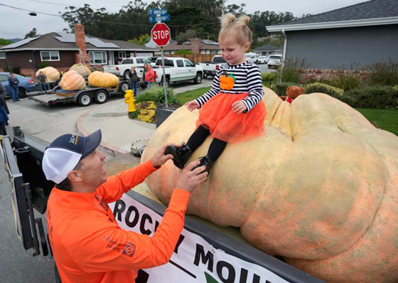 يقطينة عملاقة تزن أكثر من طن تحطم رقما قياسيا عالميا بأمريكا.. صور صورة رقم 5