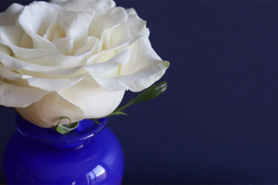 مهما كان طراز المنزل... الأزرق الكوبالتي سيُميّز ديكوراته صورة رقم 2