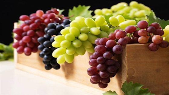 تناول العنب يوميًا قد يُحسن البصر في سن الشيخوخة صورة رقم 1