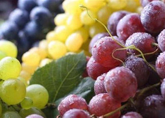 تناول العنب يوميًا قد يُحسن البصر في سن الشيخوخة صورة رقم 6