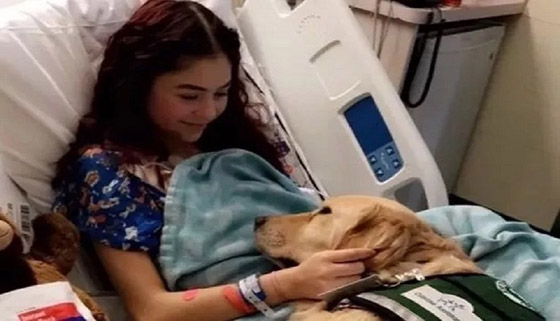 نجت من السرطان مرتين.. وماتت بحادث سيارة! صورة رقم 2