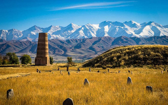 برج بورانا.. أسطورة هندسية نسجتها «خيوط عنكبوت» صورة رقم 3
