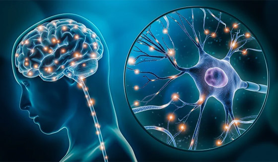 إنجاز كبير.. علماء يكشفون إنجاز كبير.. علماء يكشفون