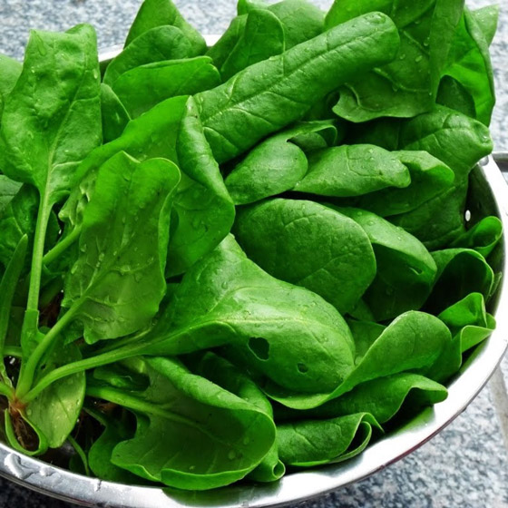 البوتاسيوم مفيد لصحة القلب والأوعية الدموية.. اعرف مصادره صورة رقم 4