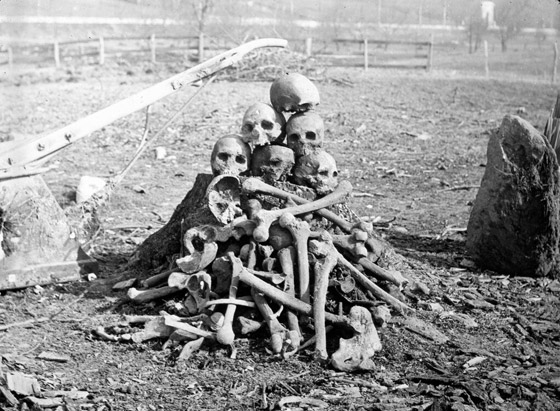 أعرق متحف في نيويورك يزيل جميع الرفات البشرية من العرض صورة رقم 1