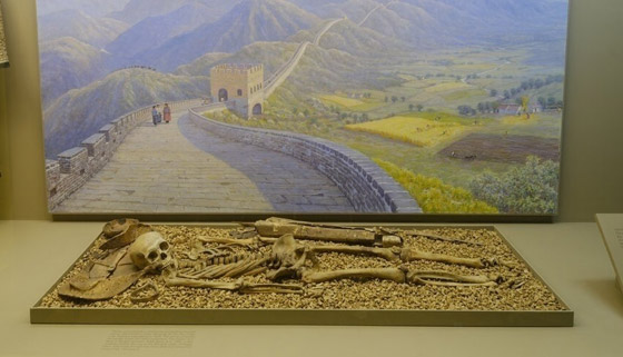 أعرق متحف في نيويورك يزيل جميع الرفات البشرية من العرض صورة رقم 2