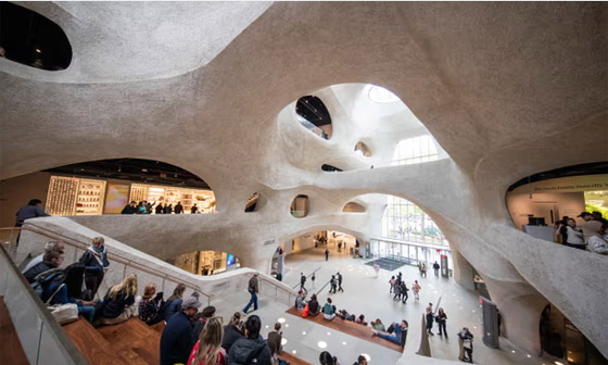 أعرق متحف في نيويورك يزيل جميع الرفات البشرية من العرض صورة رقم 3