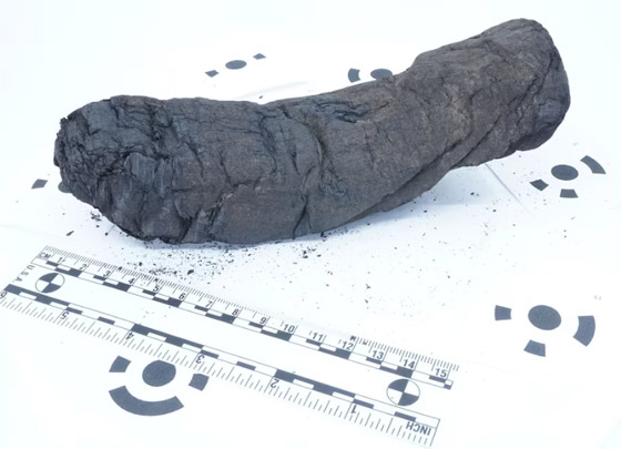 طالب مصري يفك رموز مخطوطات طالب مصري يفك رموز مخطوطات