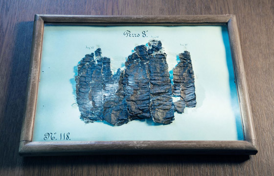 طالب مصري يفك رموز مخطوطات طالب مصري يفك رموز مخطوطات