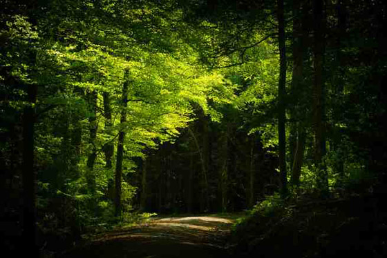 بالصور: 10 عجائب طبيعية ومذهلة في أوروبا تستحق الزيارة صورة رقم 8 بالصور: 10 عجائب طبيعية ومذهلة في أوروبا تستحق الزيارة صورة رقم 8