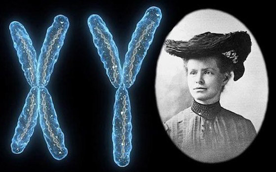 صور: إليكم 6 اختراعات ونظريات ابتكرتها نساء ونُسبت إلى رجال صورة رقم 4