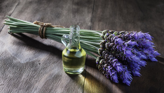 5 زيوت أساسية تساعد في تخفيف آلام الصداع والصداع النصفي صورة رقم 4