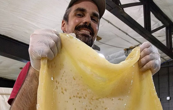 هل الأزياء المستقبلية ستكون مصنوعة من مواد بكتيرية.. كيف ذلك؟ صور صورة رقم 17 هل الأزياء المستقبلية ستكون مصنوعة من مواد بكتيرية.. كيف ذلك؟ صور صورة رقم 17