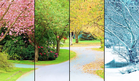 المسافة بين الأرض والشمس ليست السبب.. هكذا تتغير فصول السنة الأربعة صورة رقم 9