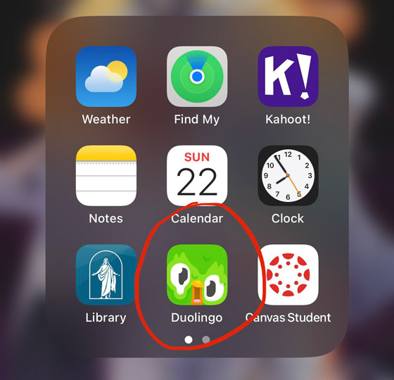 ماذا حدث مع بومة 