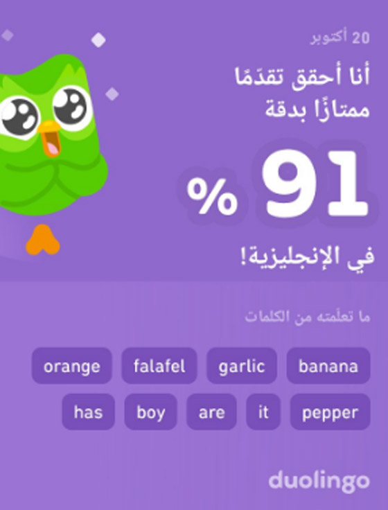 ماذا حدث مع بومة 