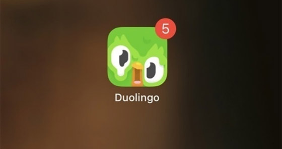 ماذا حدث مع بومة 