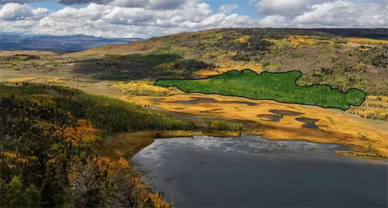 أصوات مخيفة صادرة عن أكبر كائن حي مسجل في العالم.. فيديو وصور صورة رقم 1
