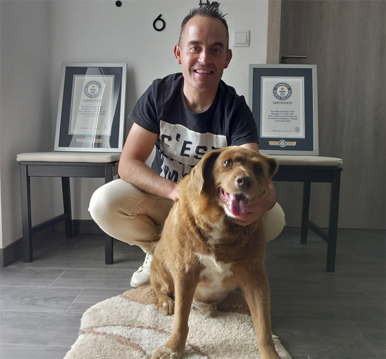 صور: نفوق أكبر كلب في العالم عن 31 سنة صورة رقم 4 صور: نفوق أكبر كلب في العالم عن 31 سنة صورة رقم 4