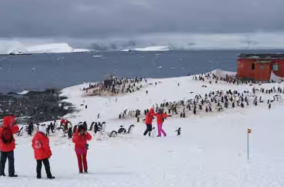 أنتاركتيكا.. 80% من غموض الكرة الأرضية ونظريات المؤامرة صورة رقم 7