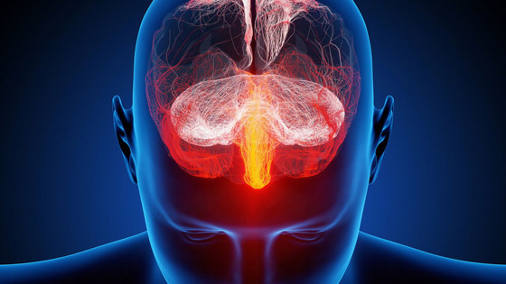 أبرزها كسر الروتين.. 7 تدريبات دماغية بسيطة للحفاظ على ذاكرة حديدية صورة رقم 2