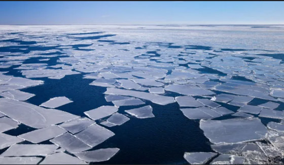 هل سينتهي العالم؟ ماذا سيحدث إن ذاب جليد القطبين ؟ صورة رقم 1