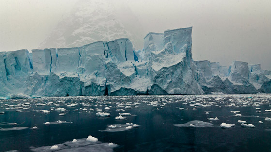 هل سينتهي العالم؟ ماذا سيحدث إن ذاب جليد القطبين ؟ صورة رقم 2