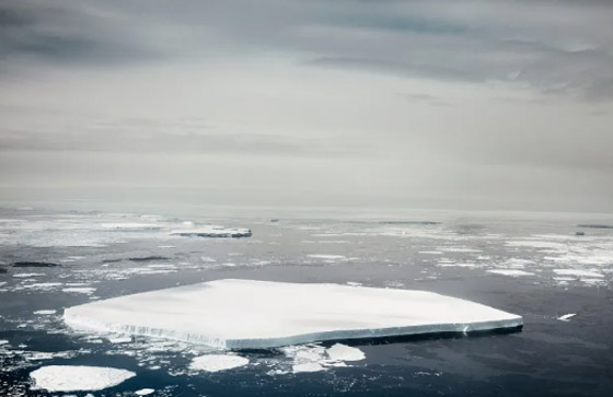 هل سينتهي العالم؟ ماذا سيحدث إن ذاب جليد القطبين ؟ صورة رقم 5