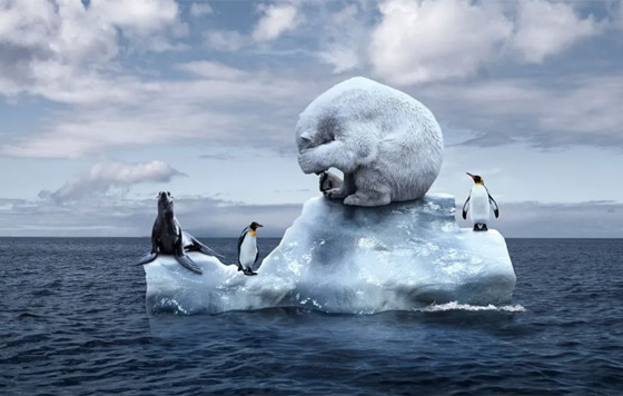 هل سينتهي العالم؟ ماذا سيحدث إن ذاب جليد القطبين ؟ صورة رقم 3