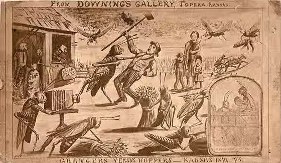 جراد نيبراسكا.. وقصة الغزو «الحشري» الأكبر في التاريخ صورة رقم 2