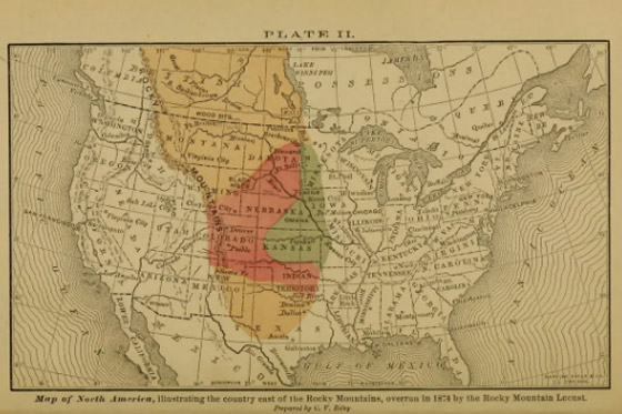 جراد نيبراسكا.. وقصة الغزو «الحشري» الأكبر في التاريخ صورة رقم 5