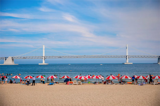 حان الوقت أن تزور ثاني أكبر مدينة في كوريا الجنوبية.. والسبب؟ صورة رقم 3 حان الوقت أن تزور ثاني أكبر مدينة في كوريا الجنوبية.. والسبب؟ صورة رقم 3