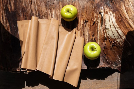 نصرة للطبيعة.. مصممو الأزياء يتجهون إلى المنتجات النباتية صورة رقم 3