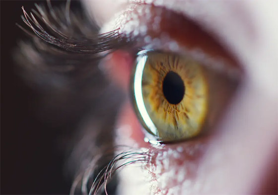 للجاذبية أصول.. 10 عادات تجعلك جذابا بشكل لا يقاوم صورة رقم 3