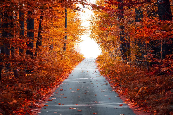 نصائح هامة للمسافرين عند السياحة خلال أشهر الخريف صورة رقم 4 نصائح هامة للمسافرين عند السياحة خلال أشهر الخريف صورة رقم 4