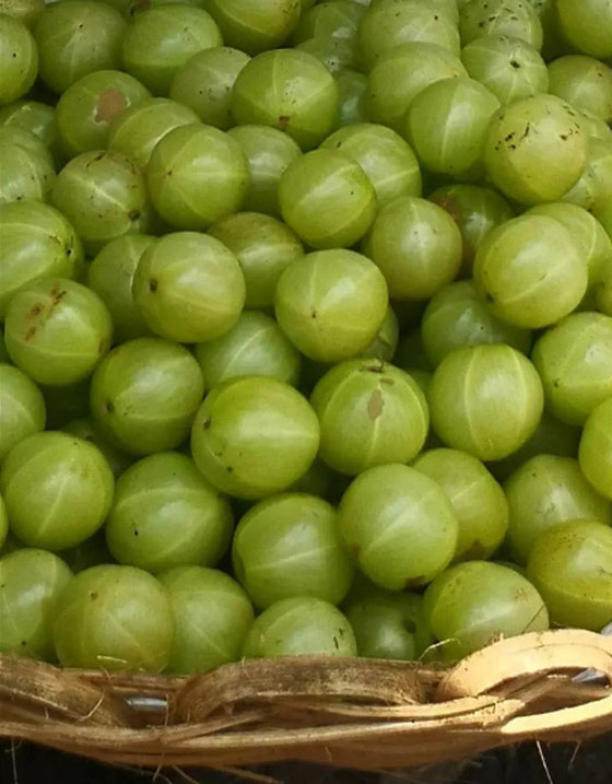 للوقاية من الشيب المبكر.. استوصوا بهذه الأطعمة الخارقة صورة رقم 2