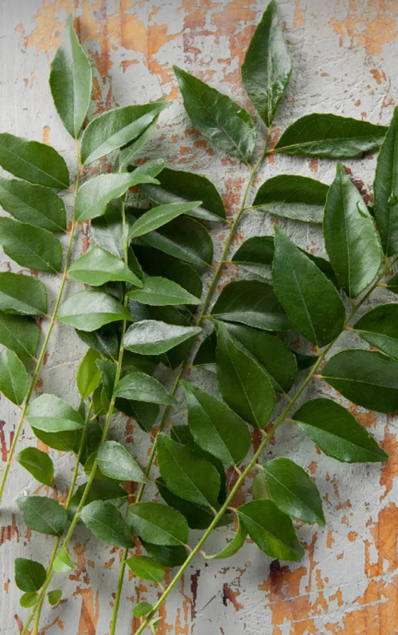 للوقاية من الشيب المبكر.. استوصوا بهذه الأطعمة الخارقة صورة رقم 8