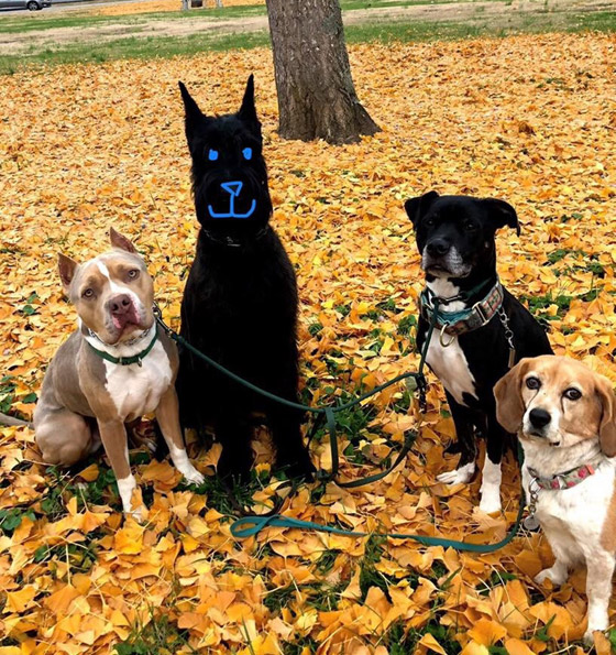 بالصور: 8 أشخاص تمكنوا من تجاوز مشكلاتهم بطرق ذكية ومبدعة صورة رقم 4