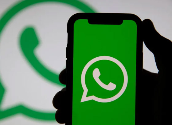 قريباً على واتساب.. معلومات وصور بديلة للبروفايل وميزات جديدة للفيديو صورة رقم 5