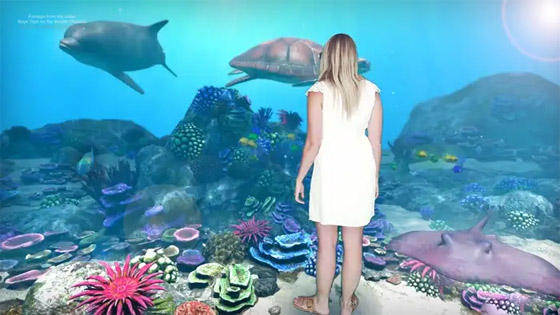 أستراليا: تجربة ثلاثية الأبعاد مدهشة في حديقة الحيوان المبتكرة صورة رقم 7 أستراليا: تجربة ثلاثية الأبعاد مدهشة في حديقة الحيوان المبتكرة صورة رقم 7