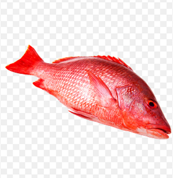 من السلمون إلى التونة.. إليك أفضل وأسوأ الأسماك لصحتك صورة رقم 5