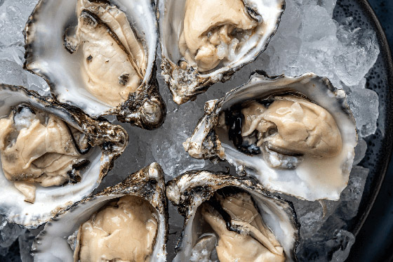 المحار.. من أعماق البحار إلى سطح البشرة.. فوائد تجميلية مذهلة صورة رقم 3 المحار.. من أعماق البحار إلى سطح البشرة.. فوائد تجميلية مذهلة صورة رقم 3