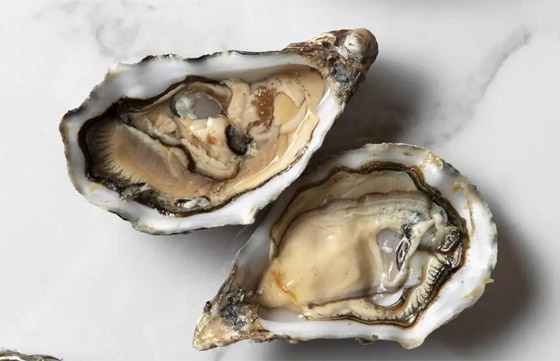 المحار.. من أعماق البحار إلى سطح البشرة.. فوائد تجميلية مذهلة صورة رقم 1 المحار.. من أعماق البحار إلى سطح البشرة.. فوائد تجميلية مذهلة صورة رقم 1