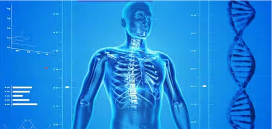 متى يأكل المخ نفسه؟.. وأغرب المعلومات عن جسم الإنسان صورة رقم 1