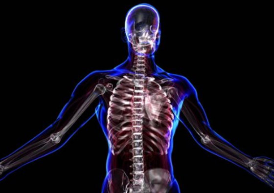 متى يأكل المخ نفسه؟.. وأغرب المعلومات عن جسم الإنسان صورة رقم 3