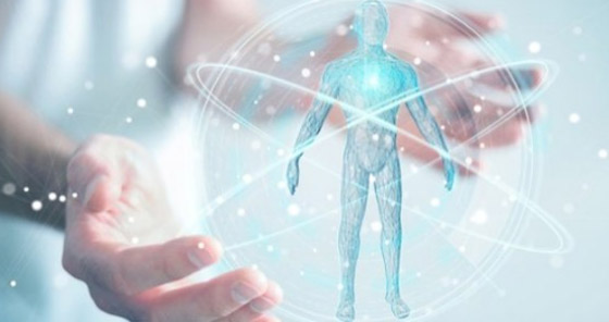 متى يأكل المخ نفسه؟.. وأغرب المعلومات عن جسم الإنسان صورة رقم 6