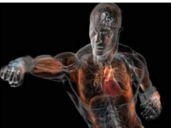 متى يأكل المخ نفسه؟.. وأغرب المعلومات عن جسم الإنسان صورة رقم 7