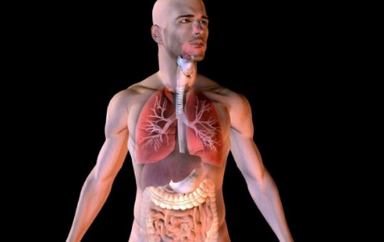 متى يأكل المخ نفسه؟.. وأغرب المعلومات عن جسم الإنسان صورة رقم 8