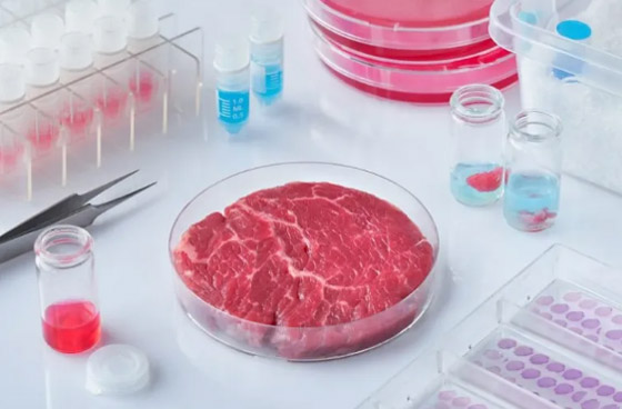 7 اختراعات لم تكن لتظهر لولا روايات و أفلام الخيال العلمي! صورة رقم 4