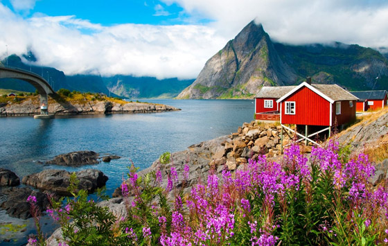 الدول الأكثر جذبا للمواهب اللامعة عالميا لعام 2023! صورة رقم 5